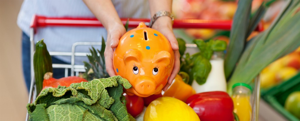 spar paa madbudgettet2